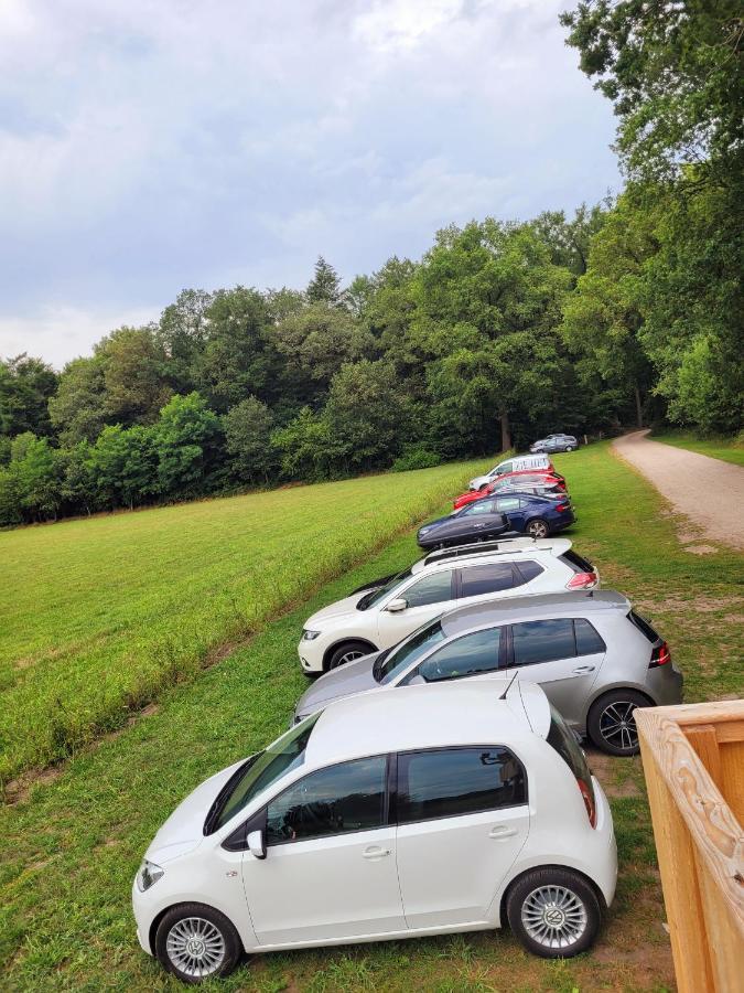 'T Buitenverblijf Erve Punte Losser Exterior foto